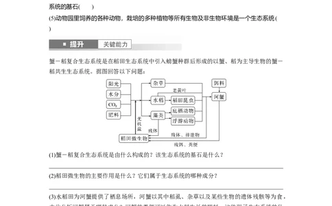 第九单元　第51课时　生态系统的结构_2025年新高考资料_一轮复习_2025大一轮复习讲义+课件（完结）_2025大一轮复习讲义生物学生用书Word版文档整书_2025大一轮复习讲义