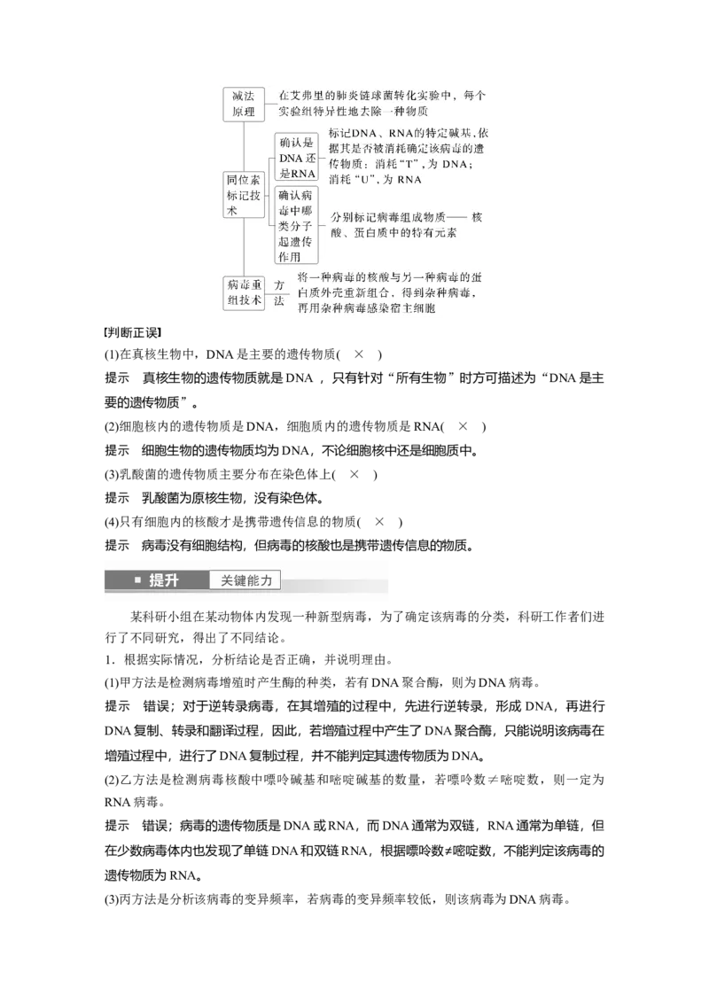 第六单元　第29课时　DNA是主要的遗传物质_2025年新高考资料_一轮复习_2025大一轮复习讲义+课件（完结）_2025大一轮复习讲义生物教师用书Word版文档整书_配套Word版文档第三~六单元