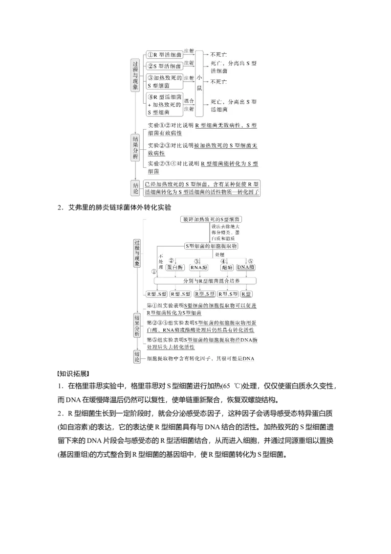 第六单元　第29课时　DNA是主要的遗传物质_2025年新高考资料_一轮复习_2025大一轮复习讲义+课件（完结）_2025大一轮复习讲义生物教师用书Word版文档整书_配套Word版文档第三~六单元