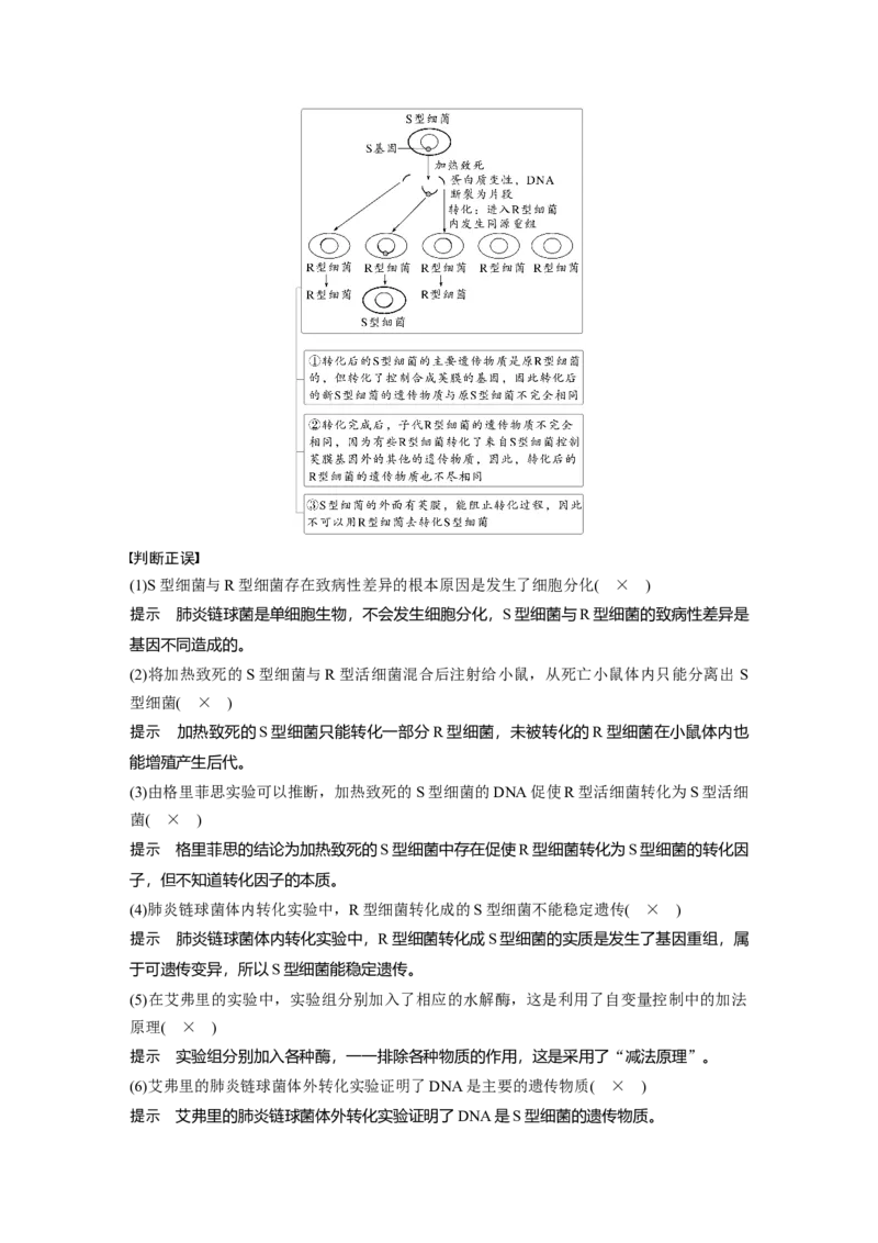 第六单元　第29课时　DNA是主要的遗传物质_2025年新高考资料_一轮复习_2025大一轮复习讲义+课件（完结）_2025大一轮复习讲义生物教师用书Word版文档整书_配套Word版文档第三~六单元