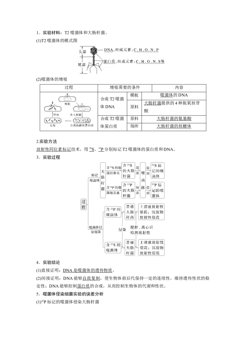 第六单元　第29课时　DNA是主要的遗传物质_2025年新高考资料_一轮复习_2025大一轮复习讲义+课件（完结）_2025大一轮复习讲义生物教师用书Word版文档整书_配套Word版文档第三~六单元