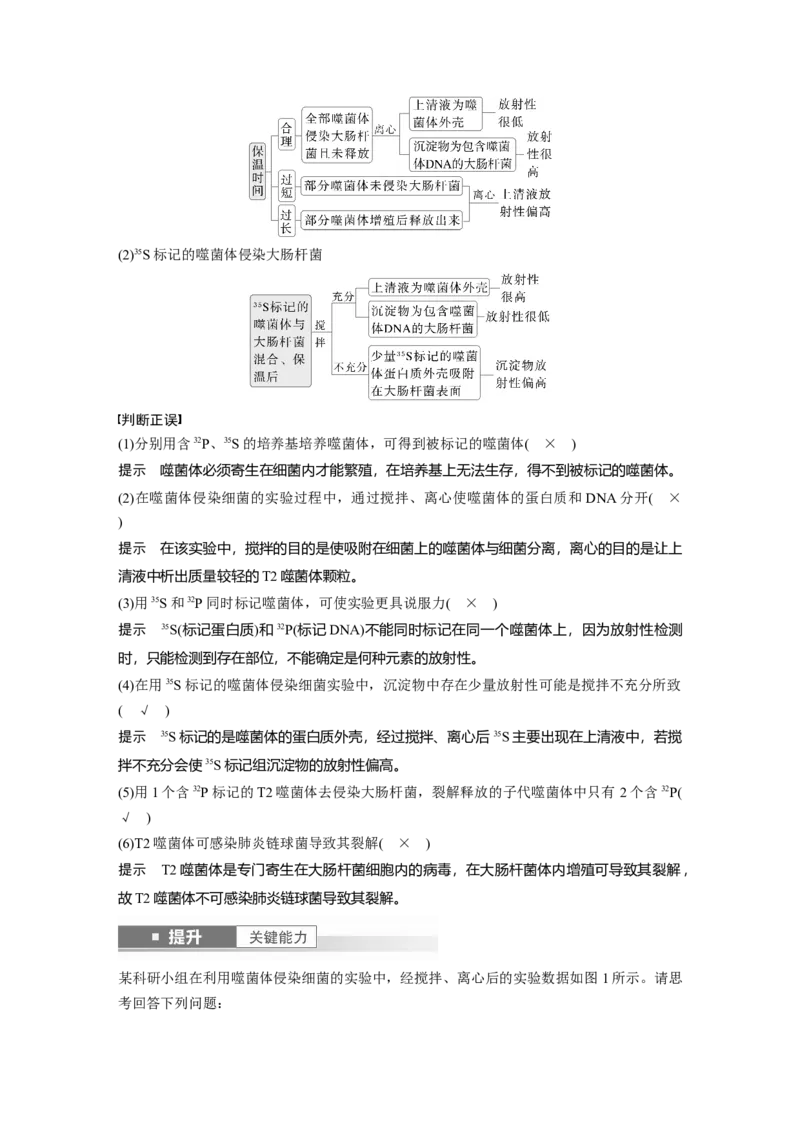 第六单元　第29课时　DNA是主要的遗传物质_2025年新高考资料_一轮复习_2025大一轮复习讲义+课件（完结）_2025大一轮复习讲义生物教师用书Word版文档整书_配套Word版文档第三~六单元