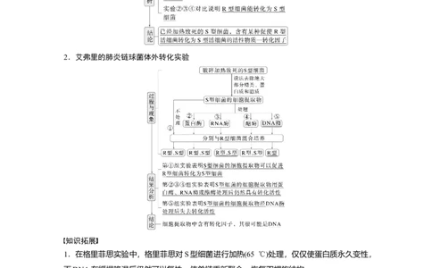 第六单元　第29课时　DNA是主要的遗传物质_2025年新高考资料_一轮复习_2025大一轮复习讲义+课件（完结）_2025大一轮复习讲义生物教师用书Word版文档整书_配套Word版文档第三~六单元