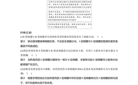 第六单元　第29课时　DNA是主要的遗传物质_2025年新高考资料_一轮复习_2025大一轮复习讲义+课件（完结）_2025大一轮复习讲义生物教师用书Word版文档整书_配套Word版文档第三~六单元