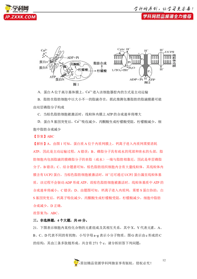 第一单元组成细胞的分子和结构梳理（B卷能力提升练）-2022年高考生物一轮复习单元滚动双测卷（解析版）_新高考复习资料_2023年新高考复习资料_一轮复习