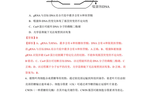 第一单元组成细胞的分子和结构梳理（B卷能力提升练）-2022年高考生物一轮复习单元滚动双测卷（解析版）_新高考复习资料_2023年新高考复习资料_一轮复习