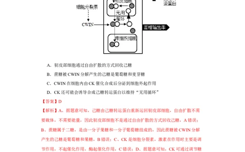 第一单元组成细胞的分子和结构梳理（B卷能力提升练）-2022年高考生物一轮复习单元滚动双测卷（解析版）_新高考复习资料_2023年新高考复习资料_一轮复习
