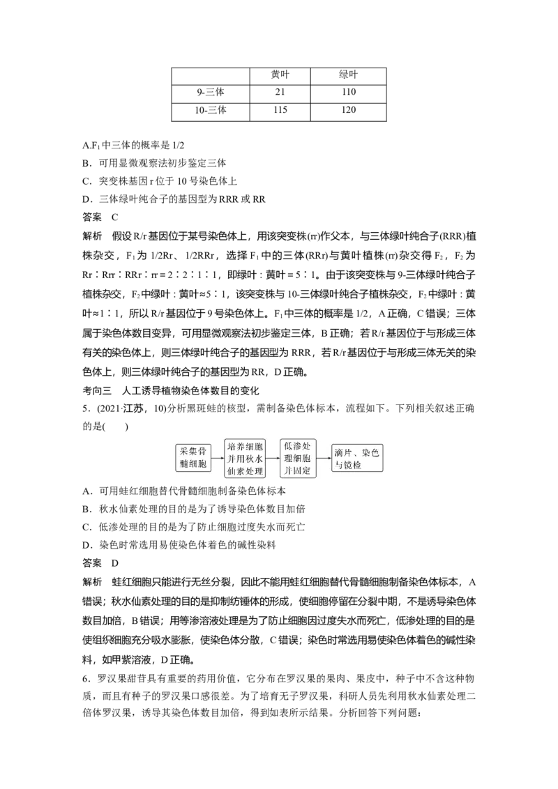 第七单元　第34课时　染色体变异_2025年新高考资料_一轮复习_2025大一轮复习讲义+课件（完结）_2025大一轮复习讲义生物教师用书Word版文档整书_配套Word版文档第七~十单元