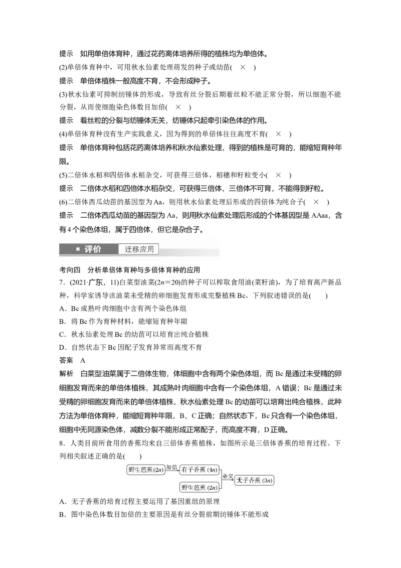 第七单元　第34课时　染色体变异_2025年新高考资料_一轮复习_2025大一轮复习讲义+课件（完结）_2025大一轮复习讲义生物教师用书Word版文档整书_配套Word版文档第七~十单元