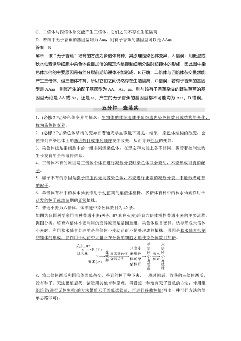 第七单元　第34课时　染色体变异_2025年新高考资料_一轮复习_2025大一轮复习讲义+课件（完结）_2025大一轮复习讲义生物教师用书Word版文档整书_配套Word版文档第七~十单元