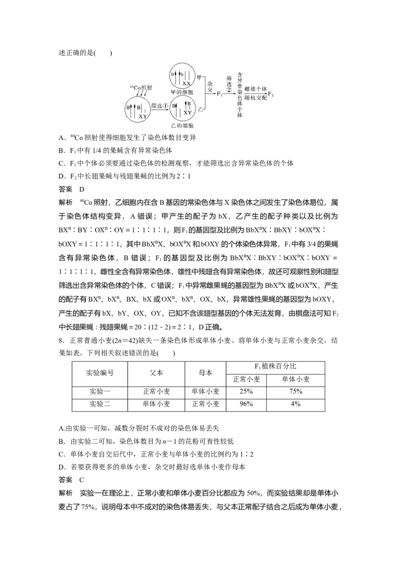 第七单元　第34课时　染色体变异_2025年新高考资料_一轮复习_2025大一轮复习讲义+课件（完结）_2025大一轮复习讲义生物教师用书Word版文档整书_配套Word版文档第七~十单元
