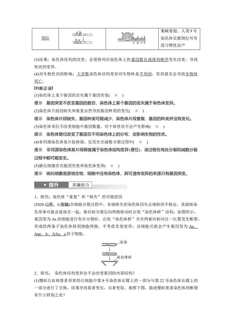 第七单元　第34课时　染色体变异_2025年新高考资料_一轮复习_2025大一轮复习讲义+课件（完结）_2025大一轮复习讲义生物教师用书Word版文档整书_配套Word版文档第七~十单元