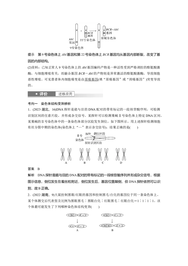 第七单元　第34课时　染色体变异_2025年新高考资料_一轮复习_2025大一轮复习讲义+课件（完结）_2025大一轮复习讲义生物教师用书Word版文档整书_配套Word版文档第七~十单元