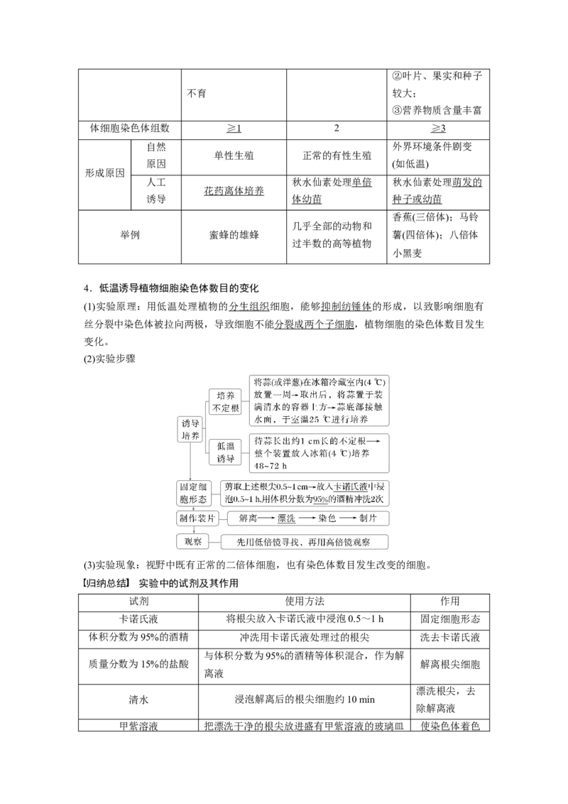 第七单元　第34课时　染色体变异_2025年新高考资料_一轮复习_2025大一轮复习讲义+课件（完结）_2025大一轮复习讲义生物教师用书Word版文档整书_配套Word版文档第七~十单元
