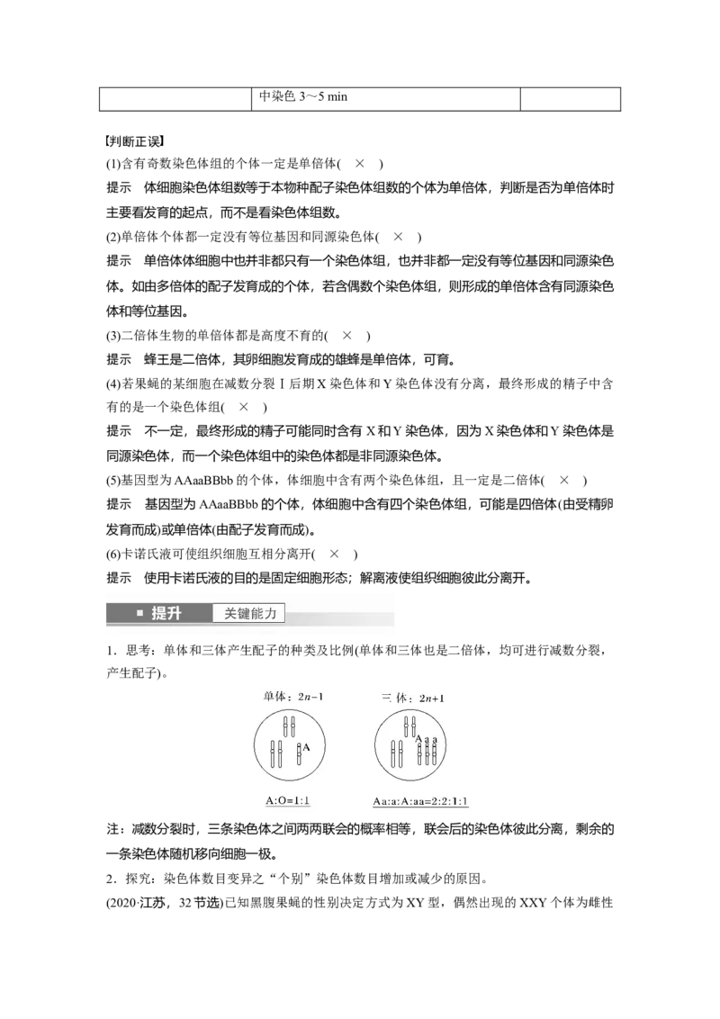 第七单元　第34课时　染色体变异_2025年新高考资料_一轮复习_2025大一轮复习讲义+课件（完结）_2025大一轮复习讲义生物教师用书Word版文档整书_配套Word版文档第七~十单元
