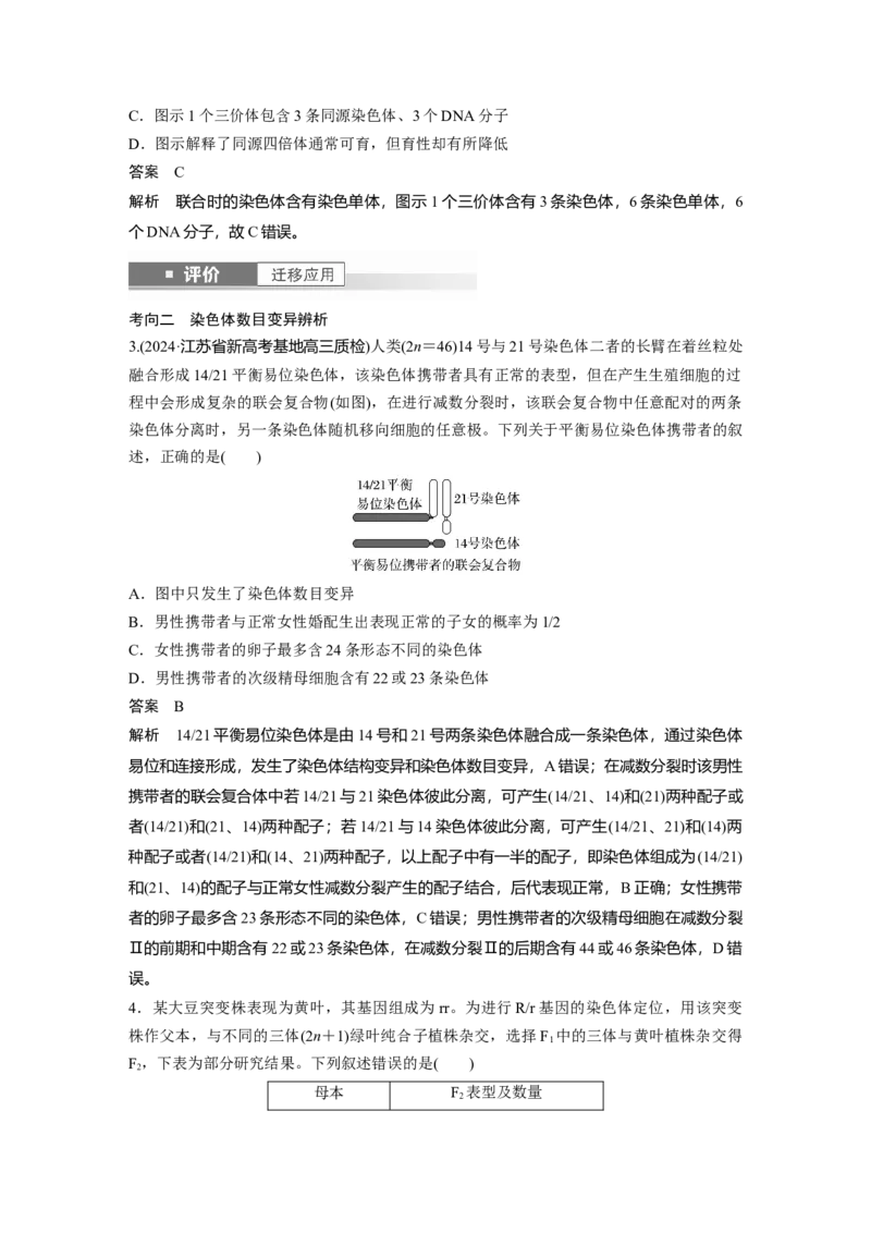 第七单元　第34课时　染色体变异_2025年新高考资料_一轮复习_2025大一轮复习讲义+课件（完结）_2025大一轮复习讲义生物教师用书Word版文档整书_配套Word版文档第七~十单元
