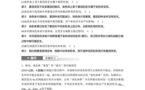 第七单元　第34课时　染色体变异_2025年新高考资料_一轮复习_2025大一轮复习讲义+课件（完结）_2025大一轮复习讲义生物教师用书Word版文档整书_配套Word版文档第七~十单元