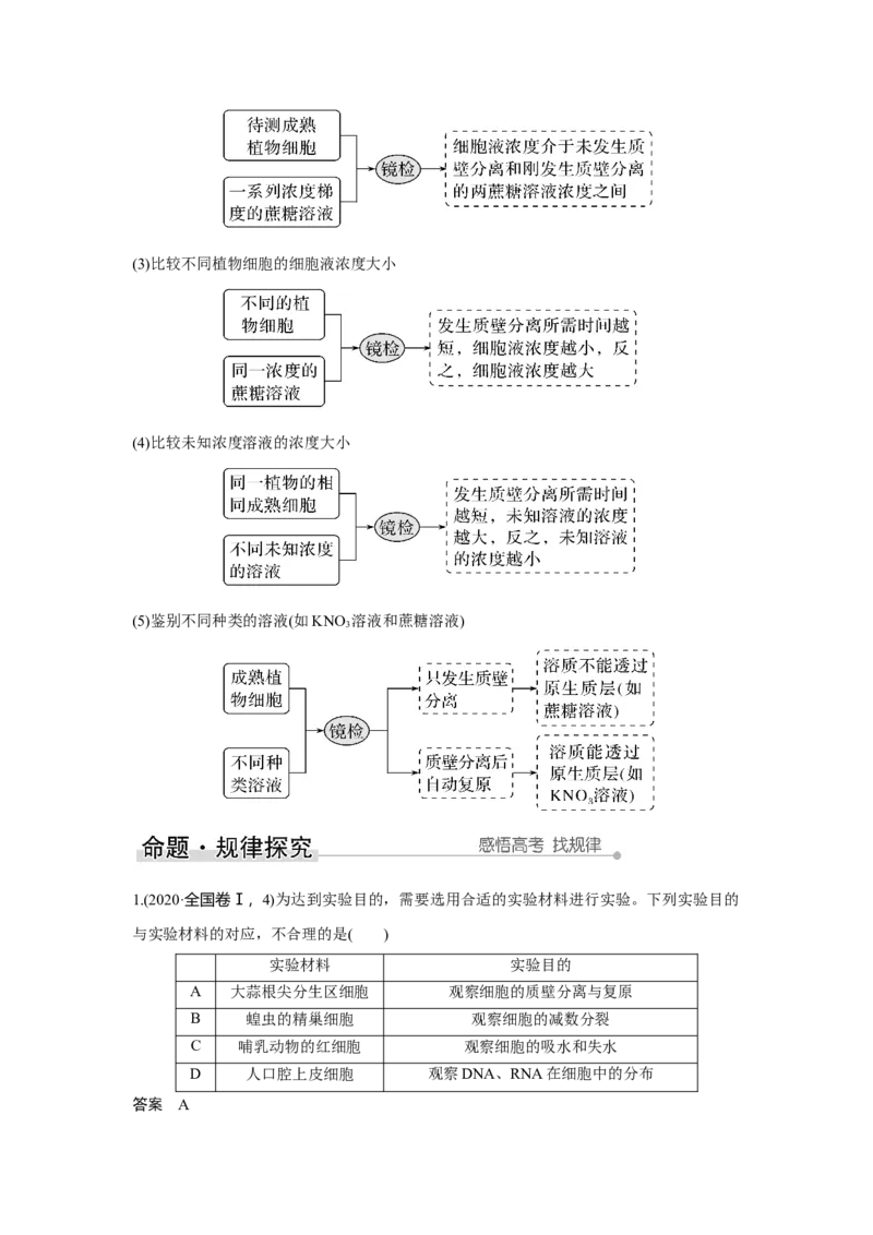 第6讲　物质进出细胞的方式_新高考复习资料_2023年新高考复习资料_一轮复习_2023年新高考大一轮复习讲义_2023年高考生物一轮复习讲义（新人教新高考）_赠补充习题