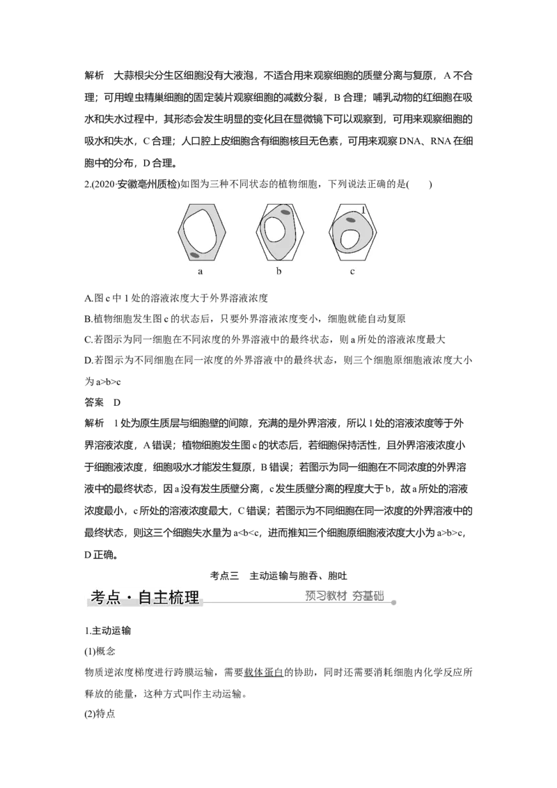 第6讲　物质进出细胞的方式_新高考复习资料_2023年新高考复习资料_一轮复习_2023年新高考大一轮复习讲义_2023年高考生物一轮复习讲义（新人教新高考）_赠补充习题