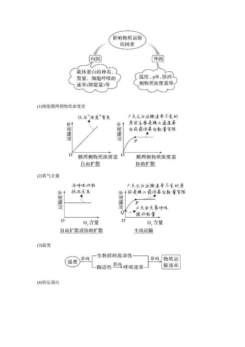 第6讲　物质进出细胞的方式_新高考复习资料_2023年新高考复习资料_一轮复习_2023年新高考大一轮复习讲义_2023年高考生物一轮复习讲义（新人教新高考）_赠补充习题