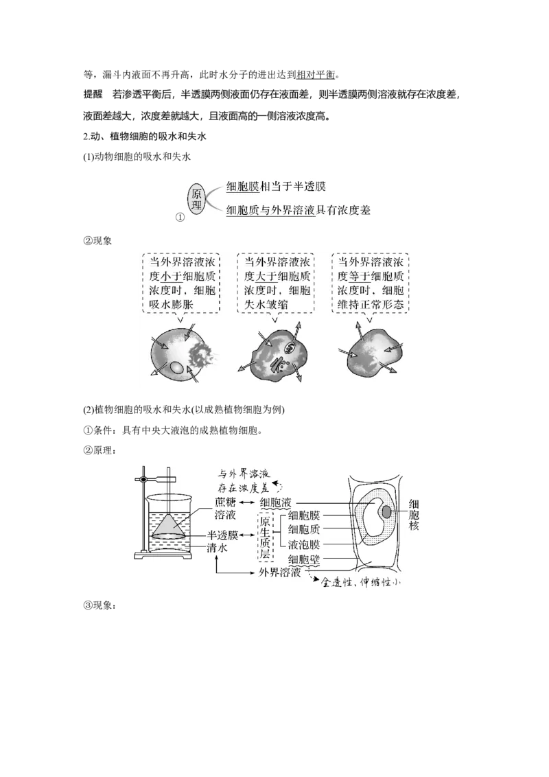 第6讲　物质进出细胞的方式_新高考复习资料_2023年新高考复习资料_一轮复习_2023年新高考大一轮复习讲义_2023年高考生物一轮复习讲义（新人教新高考）_赠补充习题