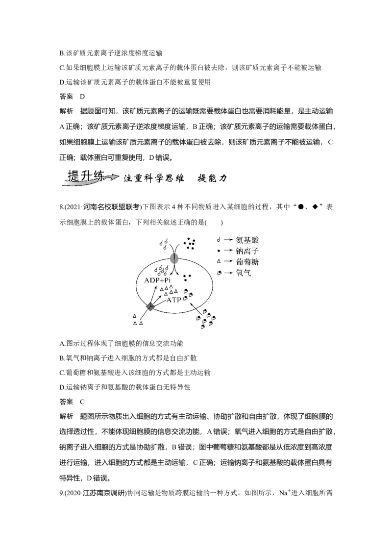 第6讲　物质进出细胞的方式_新高考复习资料_2023年新高考复习资料_一轮复习_2023年新高考大一轮复习讲义_2023年高考生物一轮复习讲义（新人教新高考）_赠补充习题
