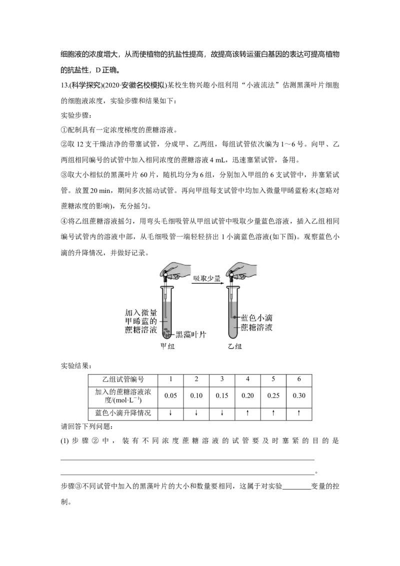 第6讲　物质进出细胞的方式_新高考复习资料_2023年新高考复习资料_一轮复习_2023年新高考大一轮复习讲义_2023年高考生物一轮复习讲义（新人教新高考）_赠补充习题