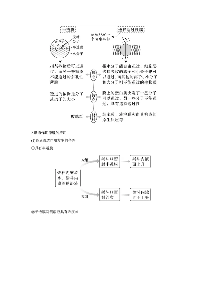 第6讲　物质进出细胞的方式_新高考复习资料_2023年新高考复习资料_一轮复习_2023年新高考大一轮复习讲义_2023年高考生物一轮复习讲义（新人教新高考）_赠补充习题