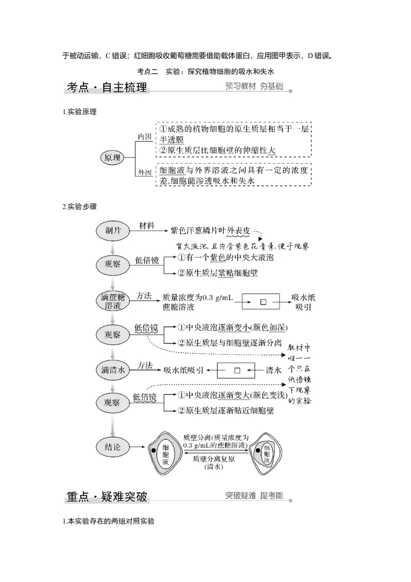 第6讲　物质进出细胞的方式_新高考复习资料_2023年新高考复习资料_一轮复习_2023年新高考大一轮复习讲义_2023年高考生物一轮复习讲义（新人教新高考）_赠补充习题