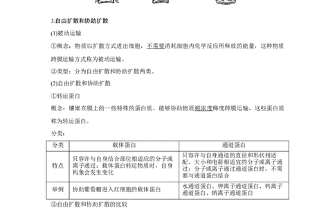 第6讲　物质进出细胞的方式_新高考复习资料_2023年新高考复习资料_一轮复习_2023年新高考大一轮复习讲义_2023年高考生物一轮复习讲义（新人教新高考）_赠补充习题