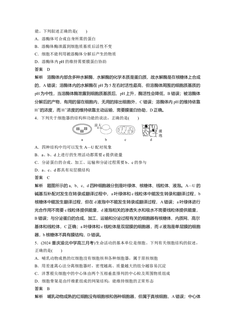 第二单元　第7课时　细胞器之间的分工_2025年新高考资料_一轮复习_2025大一轮复习讲义+课件（完结）_2025大一轮复习讲义生物教师用书Word版文档整书_配套Word版文档第一~二单元