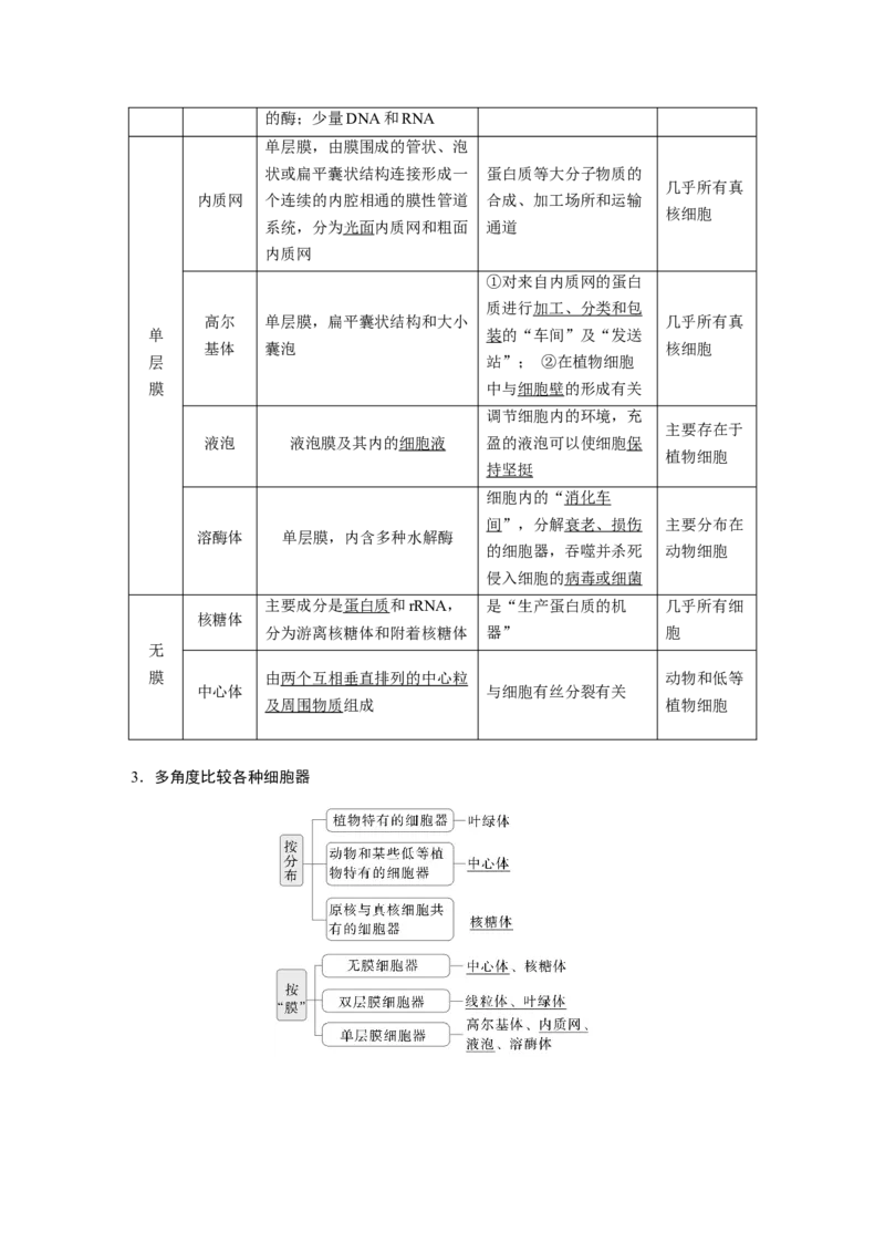 第二单元　第7课时　细胞器之间的分工_2025年新高考资料_一轮复习_2025大一轮复习讲义+课件（完结）_2025大一轮复习讲义生物教师用书Word版文档整书_配套Word版文档第一~二单元