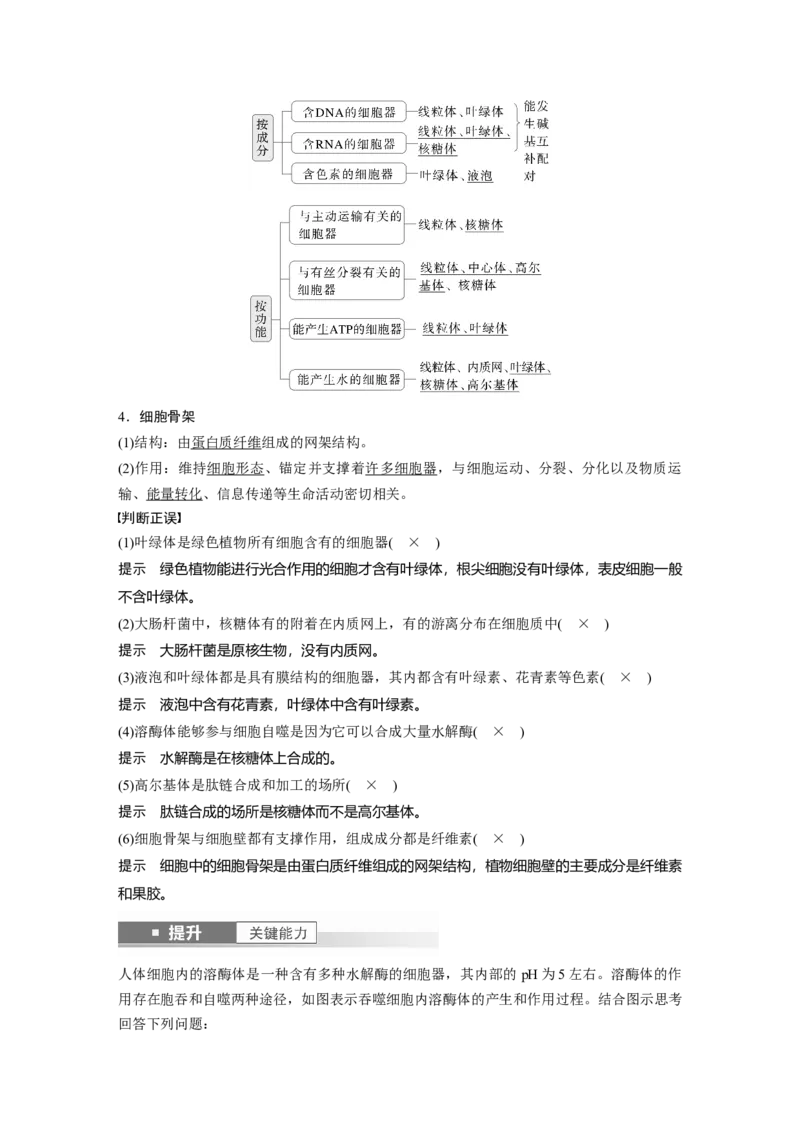 第二单元　第7课时　细胞器之间的分工_2025年新高考资料_一轮复习_2025大一轮复习讲义+课件（完结）_2025大一轮复习讲义生物教师用书Word版文档整书_配套Word版文档第一~二单元