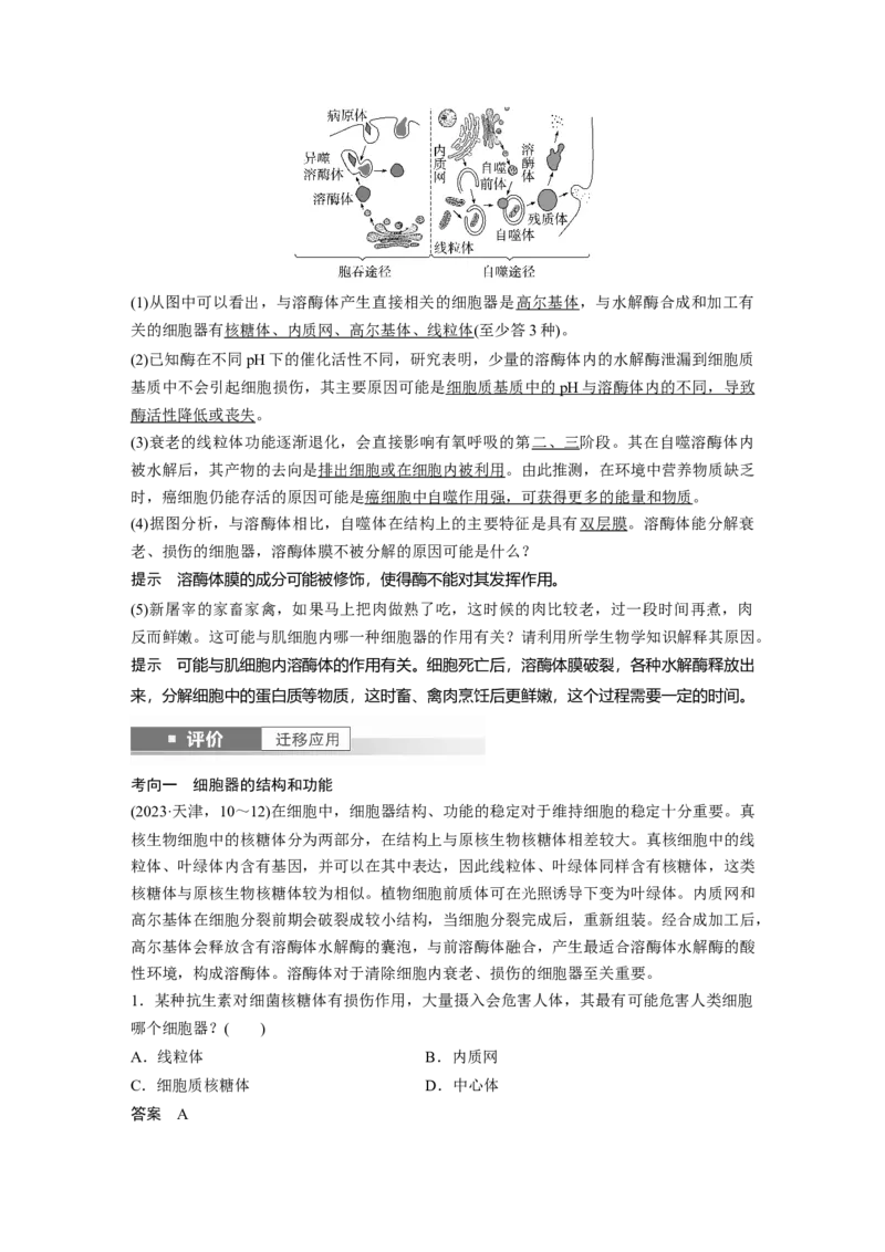 第二单元　第7课时　细胞器之间的分工_2025年新高考资料_一轮复习_2025大一轮复习讲义+课件（完结）_2025大一轮复习讲义生物教师用书Word版文档整书_配套Word版文档第一~二单元