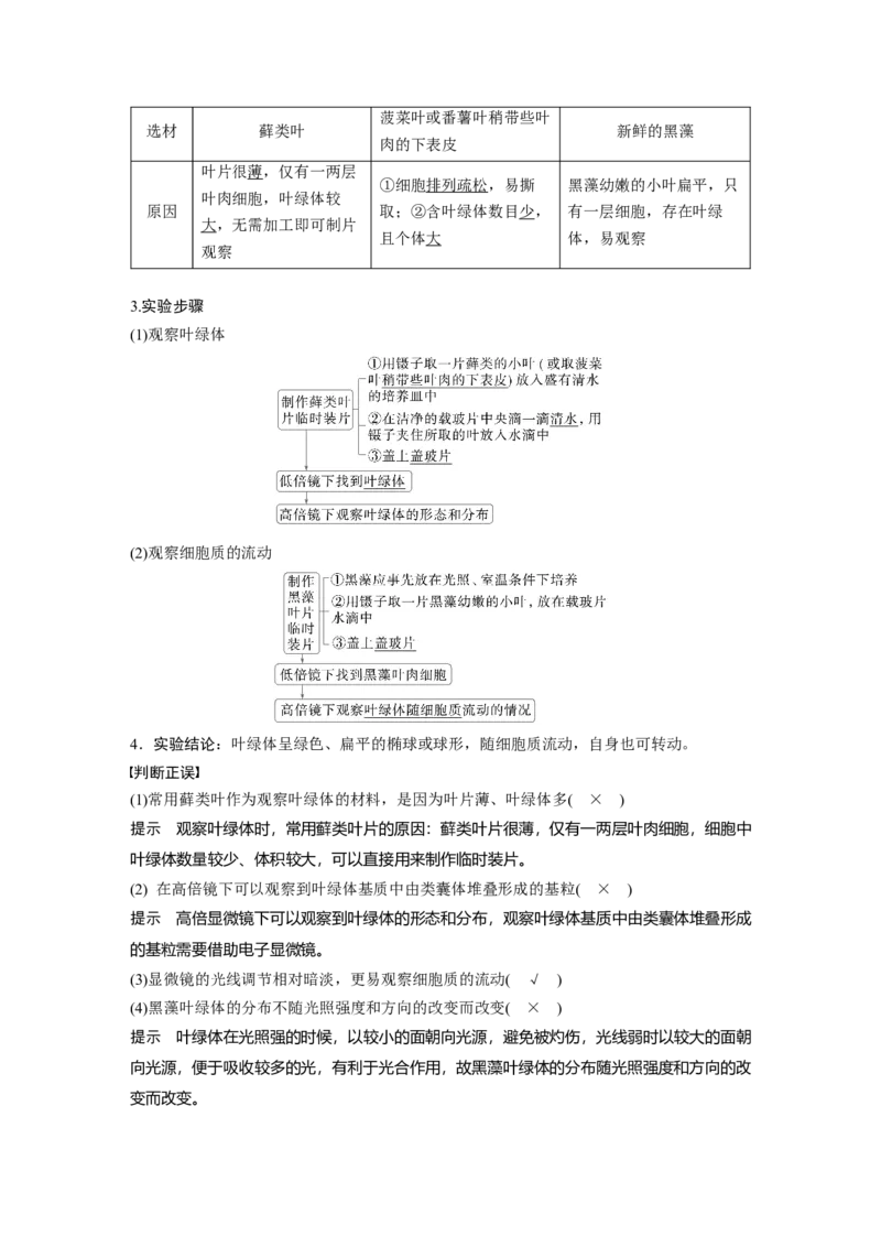 第二单元　第7课时　细胞器之间的分工_2025年新高考资料_一轮复习_2025大一轮复习讲义+课件（完结）_2025大一轮复习讲义生物教师用书Word版文档整书_配套Word版文档第一~二单元
