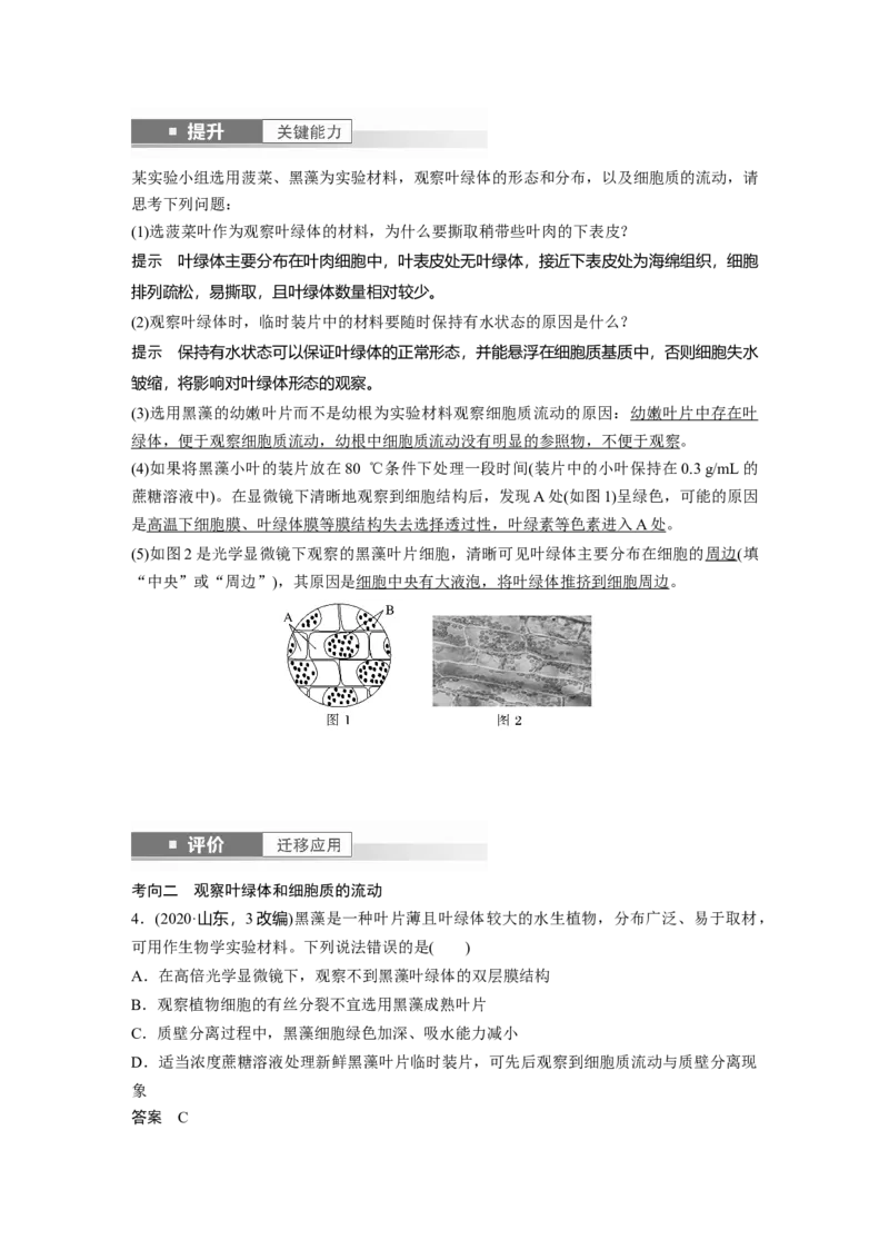第二单元　第7课时　细胞器之间的分工_2025年新高考资料_一轮复习_2025大一轮复习讲义+课件（完结）_2025大一轮复习讲义生物教师用书Word版文档整书_配套Word版文档第一~二单元