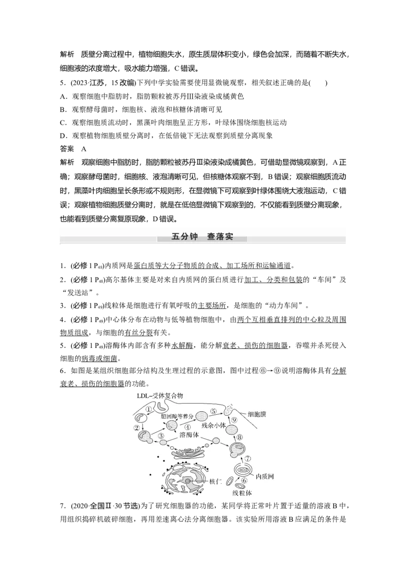 第二单元　第7课时　细胞器之间的分工_2025年新高考资料_一轮复习_2025大一轮复习讲义+课件（完结）_2025大一轮复习讲义生物教师用书Word版文档整书_配套Word版文档第一~二单元