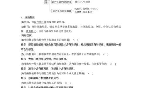 第二单元　第7课时　细胞器之间的分工_2025年新高考资料_一轮复习_2025大一轮复习讲义+课件（完结）_2025大一轮复习讲义生物教师用书Word版文档整书_配套Word版文档第一~二单元