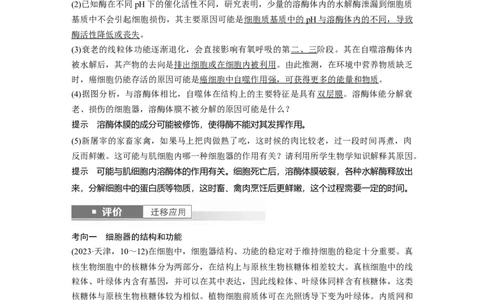 第二单元　第7课时　细胞器之间的分工_2025年新高考资料_一轮复习_2025大一轮复习讲义+课件（完结）_2025大一轮复习讲义生物教师用书Word版文档整书_配套Word版文档第一~二单元
