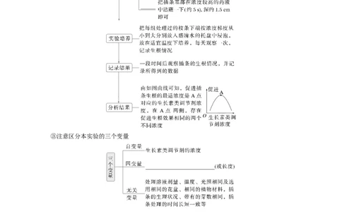 第八单元　第46课时　植物生长调节剂的应用及环境因素参与调节植物的生命活动_2025年新高考资料_一轮复习_2025大一轮复习讲义+课件（完结）_2025大一轮复习讲义