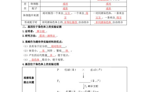 第4讲基因在染色体上-精准备考备战2023年高考生物一轮复习精品讲义（生物学必修2）（解析版）_通用版（老高考）复习资料_2023年复习资料_一轮复习