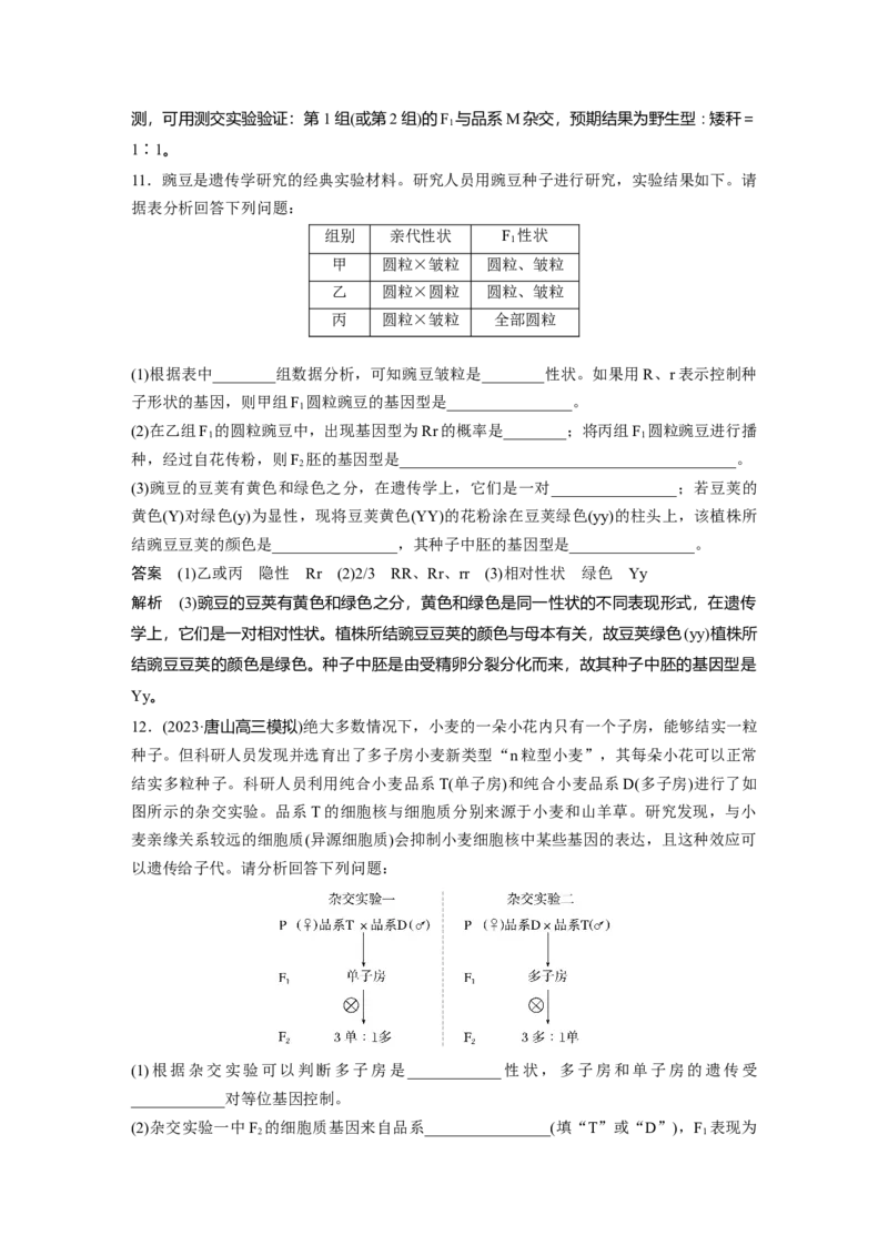 第五单元　第25课时　分离定律的概率计算和常规应用_2025年新高考资料_一轮复习_2025大一轮复习讲义+课件（完结）_2025大一轮复习讲义生物教师用书Word版文档整书