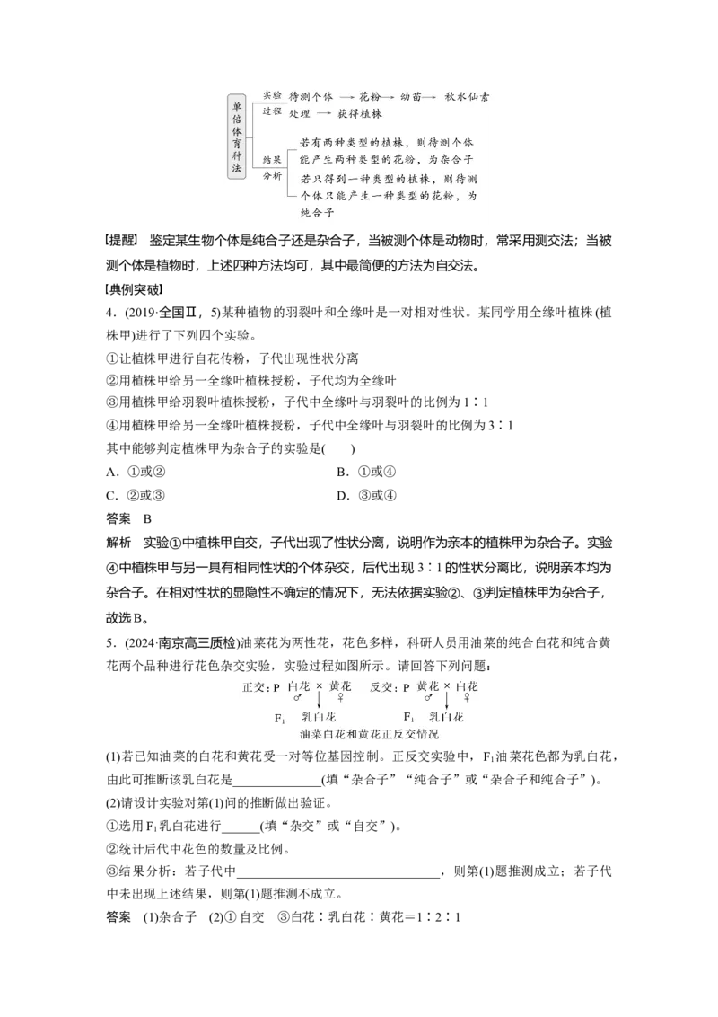 第五单元　第25课时　分离定律的概率计算和常规应用_2025年新高考资料_一轮复习_2025大一轮复习讲义+课件（完结）_2025大一轮复习讲义生物教师用书Word版文档整书