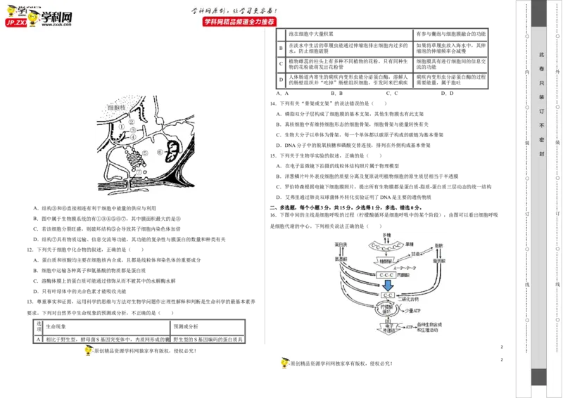 第一单元组成细胞的分子和结构梳理（A卷新题基础练）-2022年高考生物一轮复习单元滚动双测卷（考试版）_新高考复习资料_2023年新高考复习资料_一轮复习
