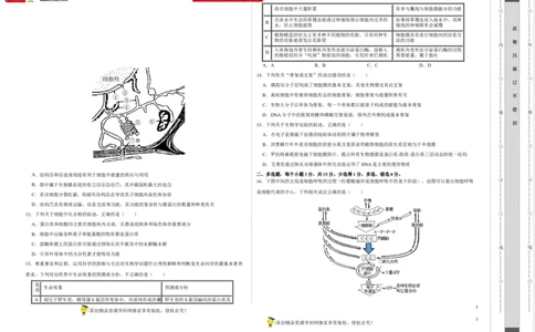 第一单元组成细胞的分子和结构梳理（A卷新题基础练）-2022年高考生物一轮复习单元滚动双测卷（考试版）_新高考复习资料_2023年新高考复习资料_一轮复习