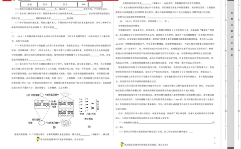 第一单元组成细胞的分子和结构梳理（A卷新题基础练）-2022年高考生物一轮复习单元滚动双测卷（考试版）_新高考复习资料_2023年新高考复习资料_一轮复习