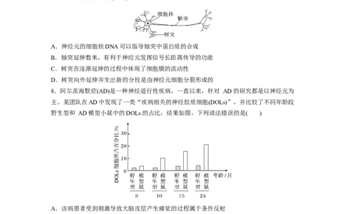 第八单元　课时练37　神经调节的结构基础和基本方式_2025年新高考资料_一轮复习_2025大一轮复习讲义+课件（完结）_2025大一轮复习讲义生物学生用书Word版文档整书_2025一轮复习73练