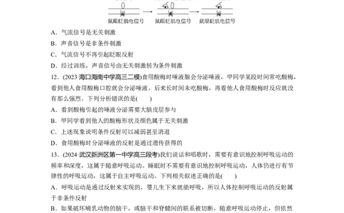 第八单元　课时练37　神经调节的结构基础和基本方式_2025年新高考资料_一轮复习_2025大一轮复习讲义+课件（完结）_2025大一轮复习讲义生物学生用书Word版文档整书_2025一轮复习73练