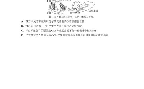 第八单元　课时练37　神经调节的结构基础和基本方式_2025年新高考资料_一轮复习_2025大一轮复习讲义+课件（完结）_2025大一轮复习讲义生物学生用书Word版文档整书_2025一轮复习73练