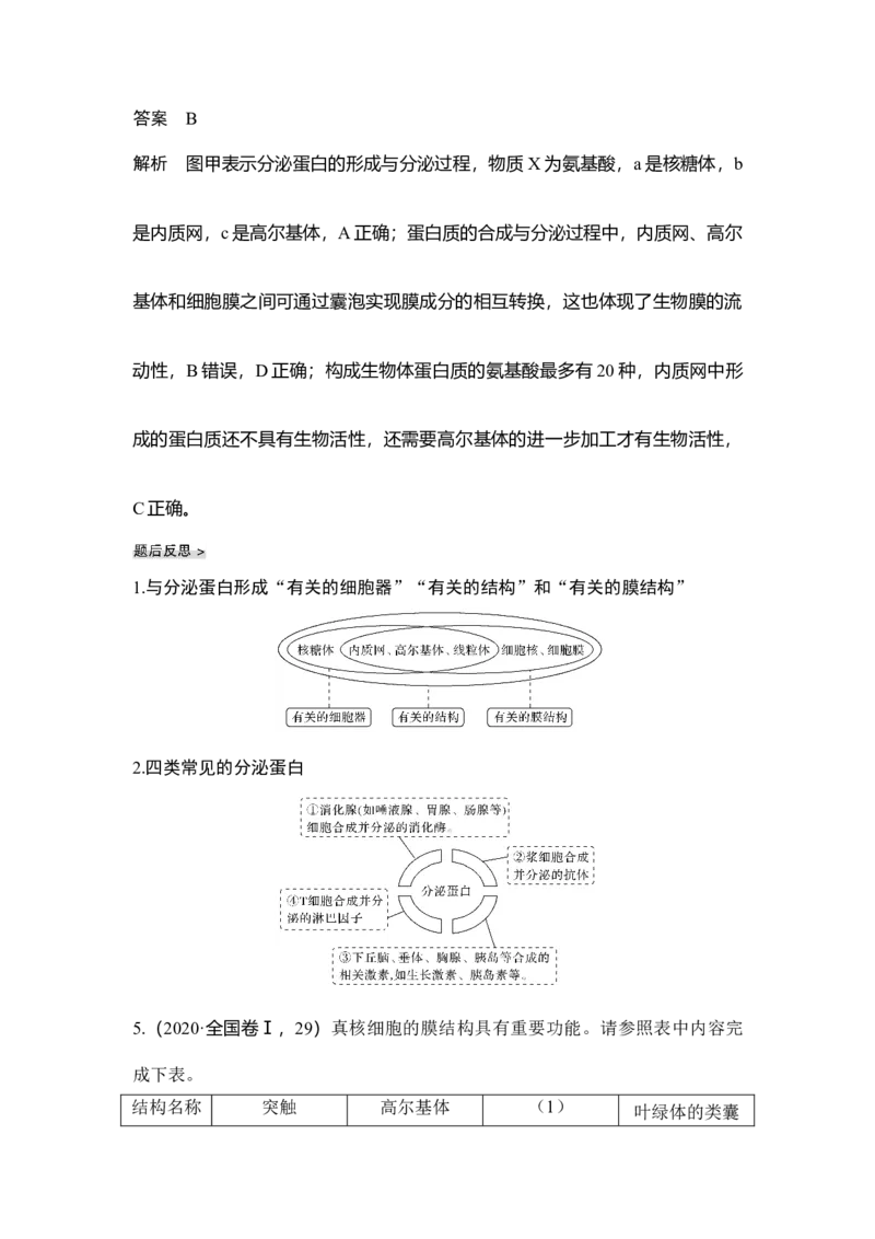 第5讲细胞器与生物膜系统_通用版（老高考）复习资料_2023年复习资料_一轮复习_2023年高考生物一轮复习讲义+课件（全国版）_2023年高考生物一轮复习讲义（全国版）_赠补充习题